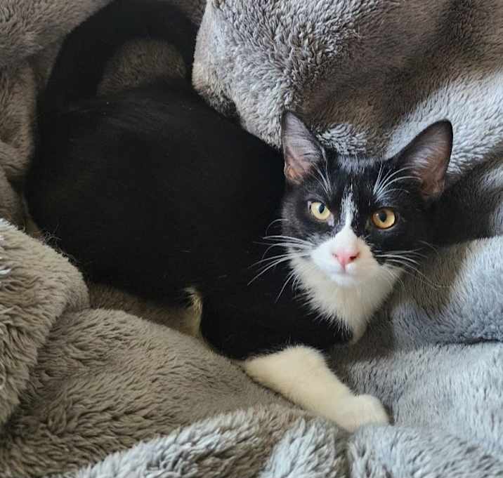 Photo of PEPPERS