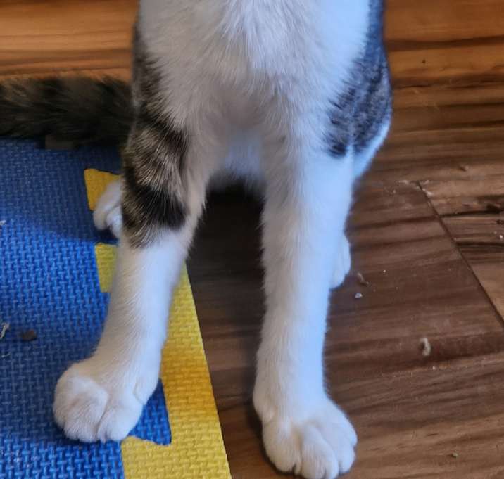 Photo of Oliver