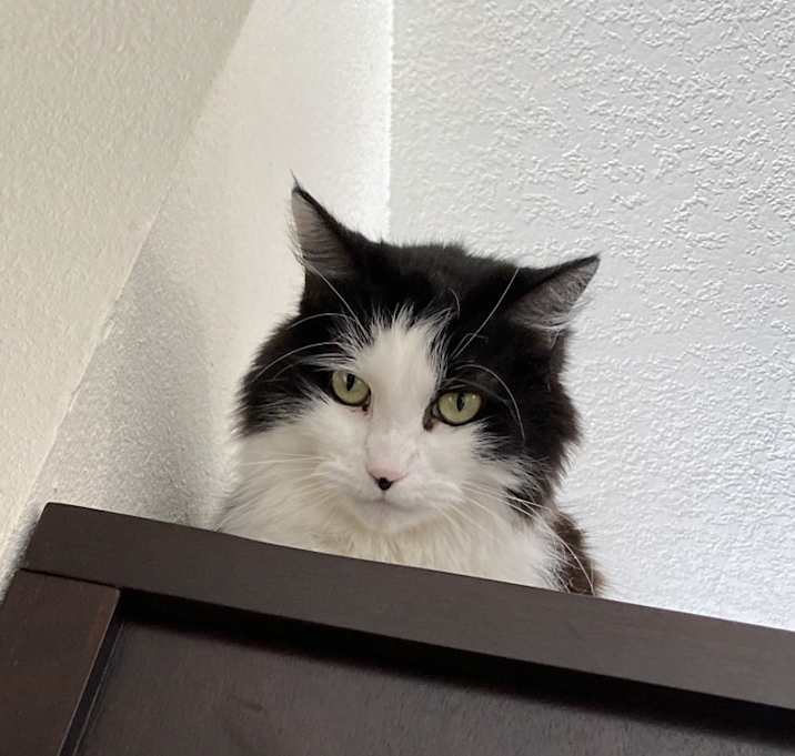 Photo of Taimi