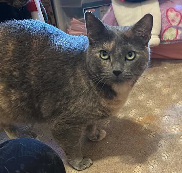 Photo of Jada
