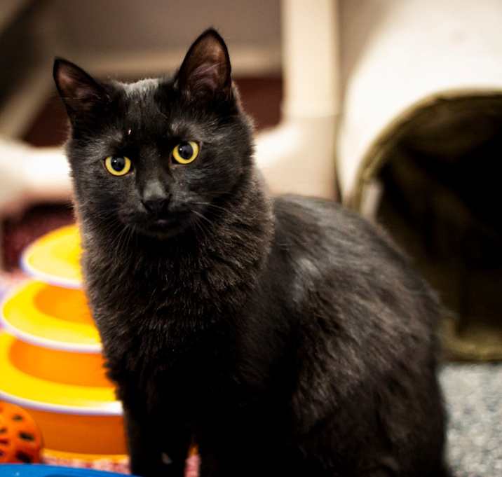 Photo of Mitzy