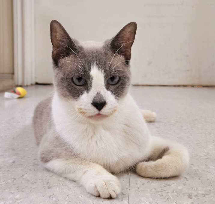 Photo of Ramona