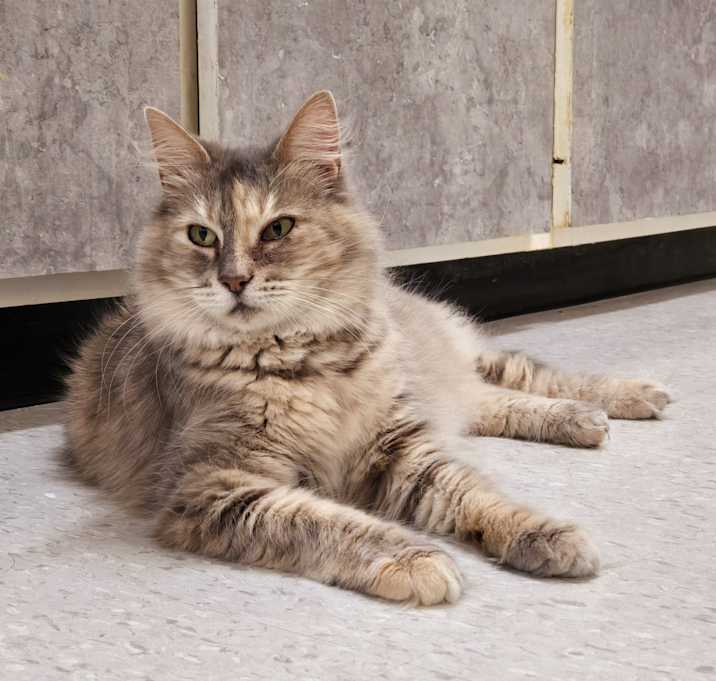 Photo of Jocelyn