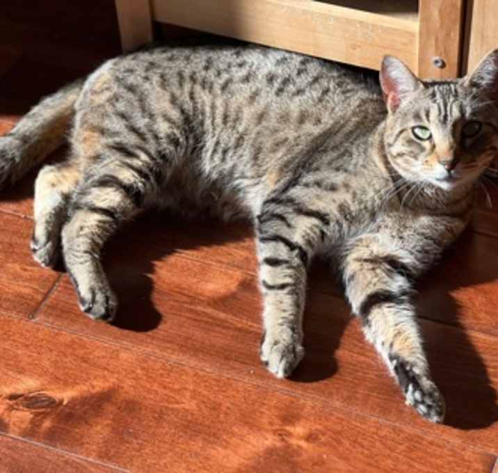 Photo of Lexi