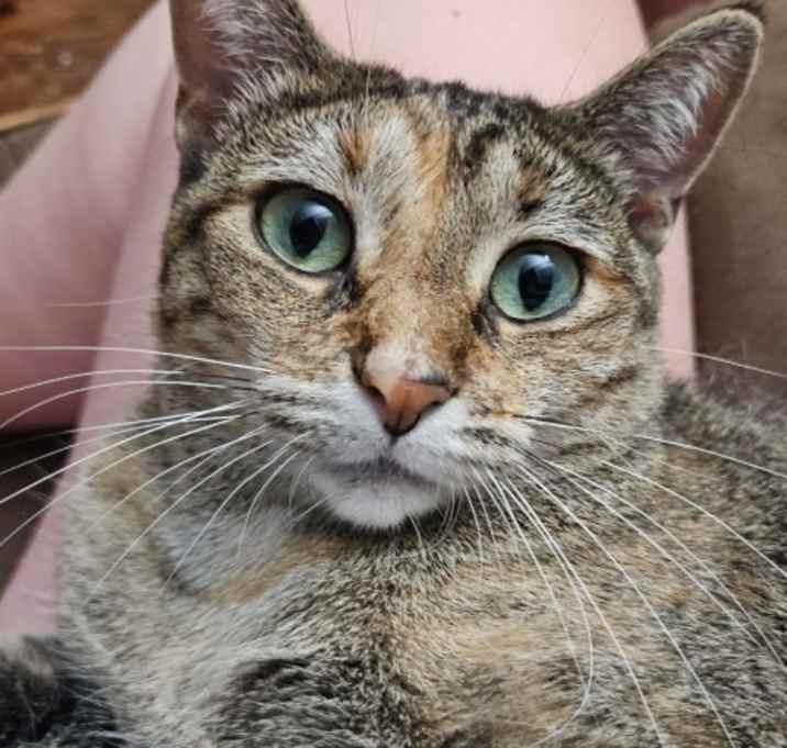 Photo of isla mae