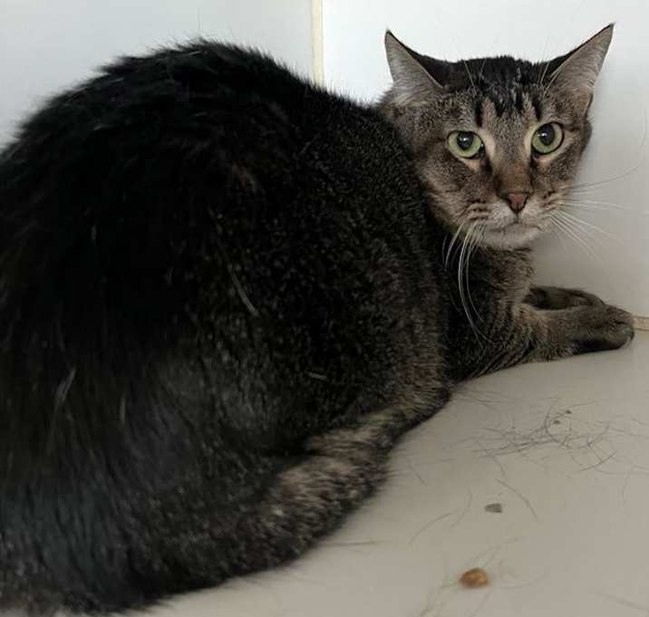 Photo of Max