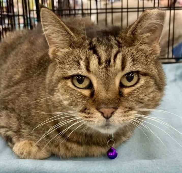 Photo of Lilly