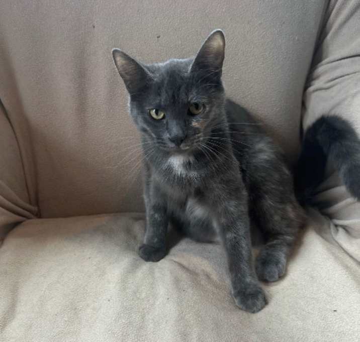Photo of Emmy