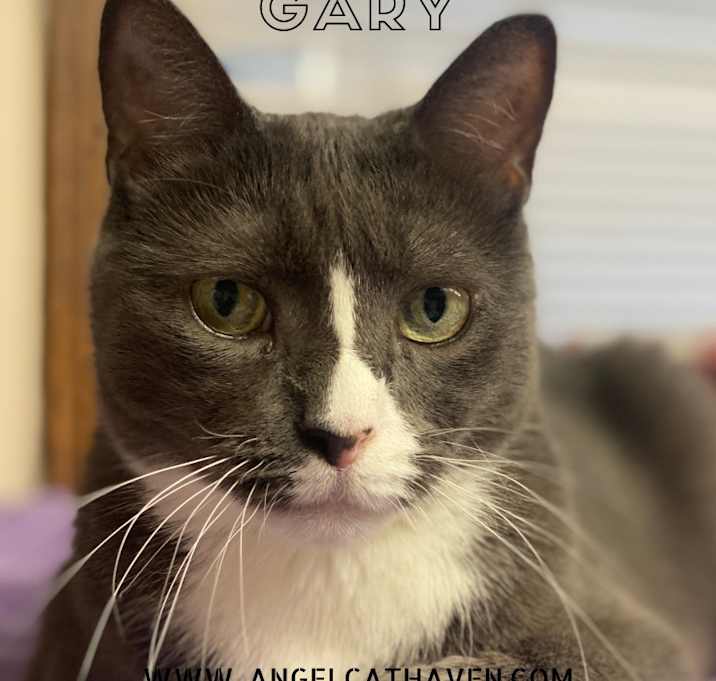 Photo of Gary