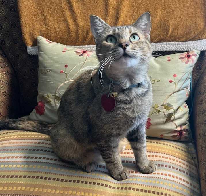 Photo of Sophie