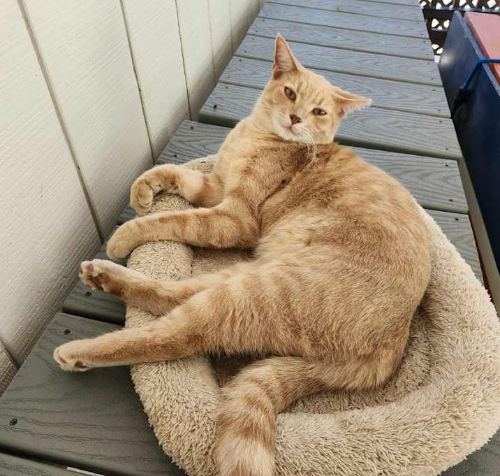 Photo of Jake