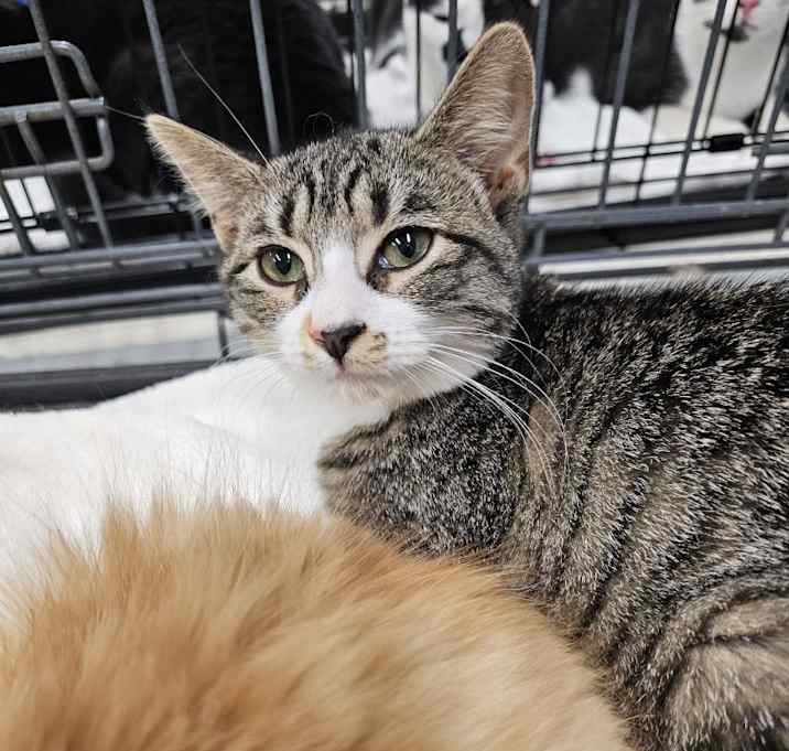 Photo of Jinx
