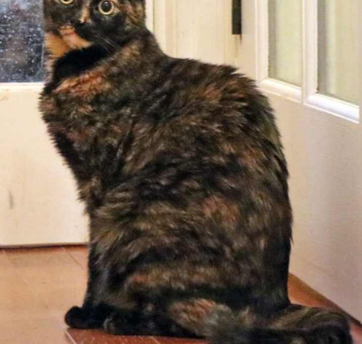 Photo of Birdy