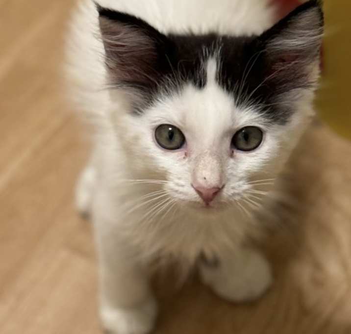 Photo of Armani