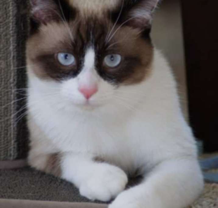Photo of Giz