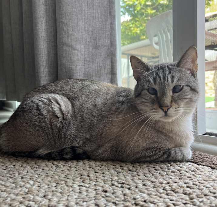 Photo of Boe