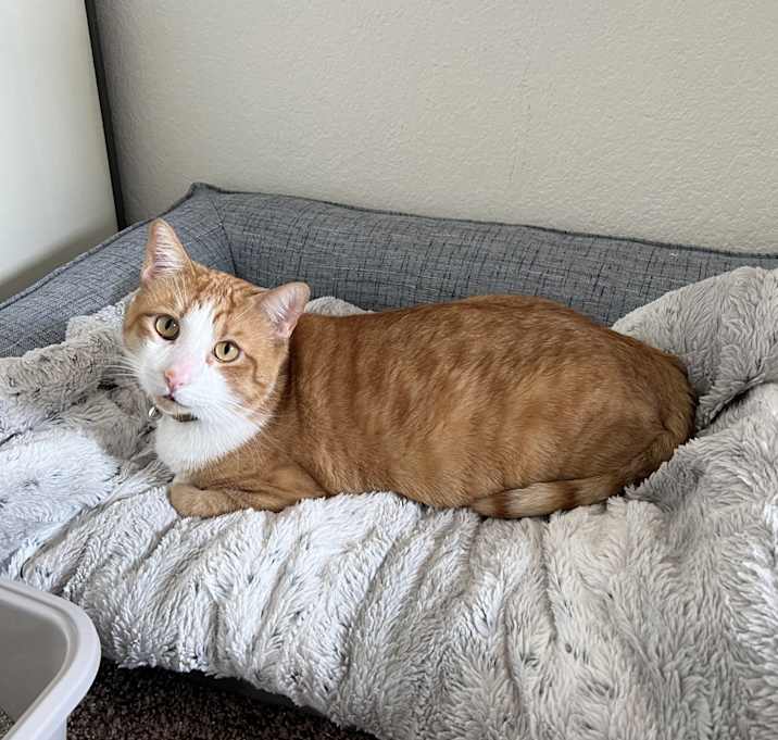 Photo of OJ