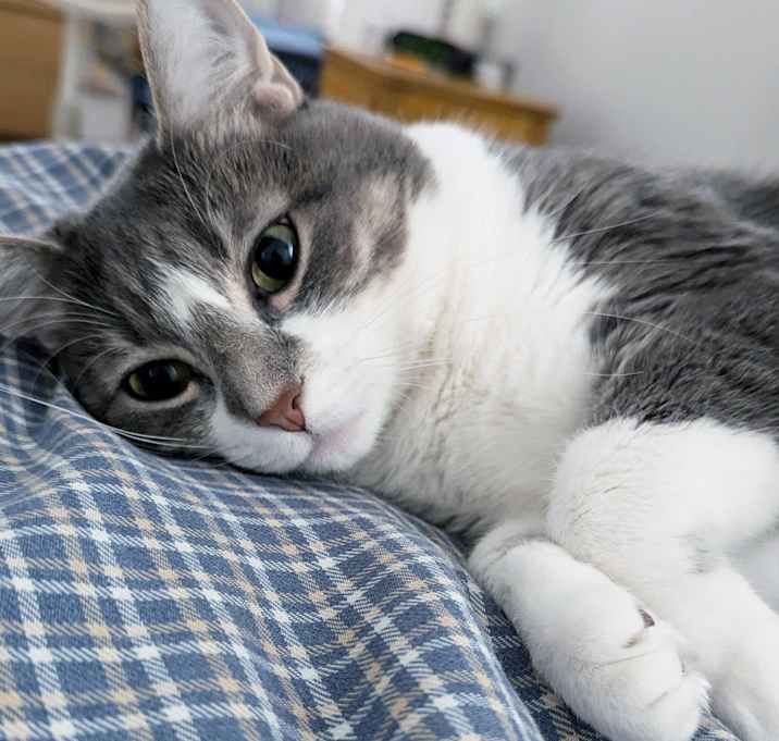 Photo of Eva