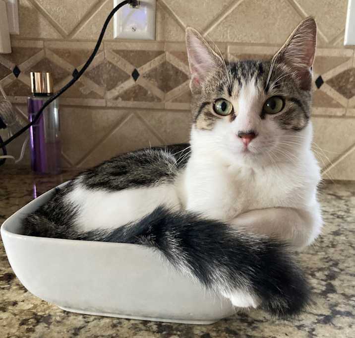 Photo of Esme