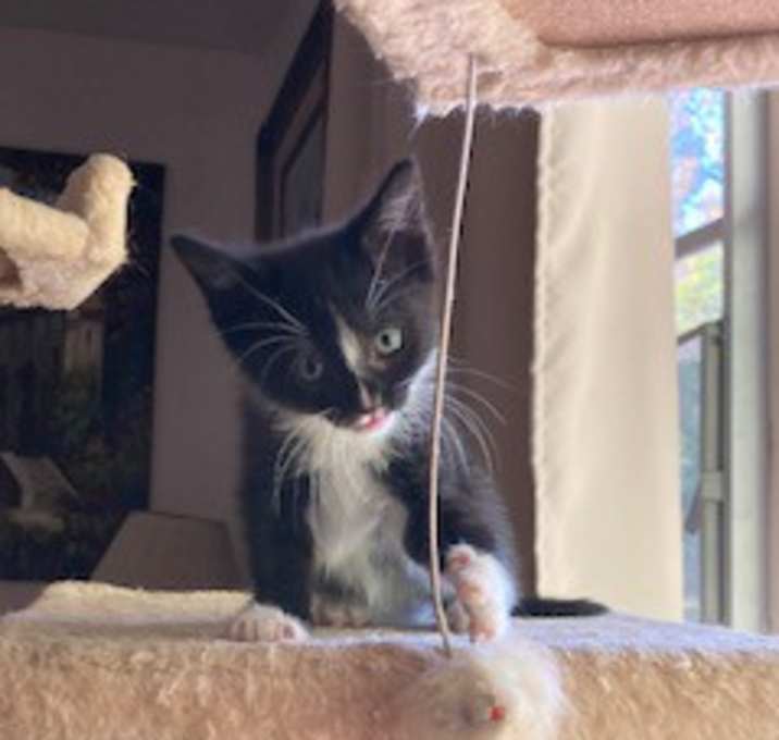 Photo of POLLY!!
