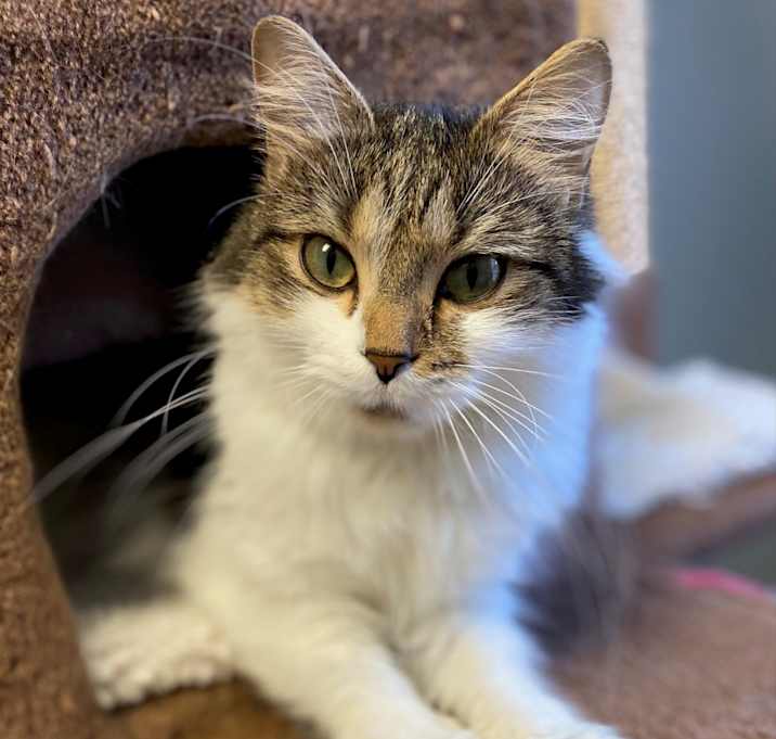 Photo of Mercury