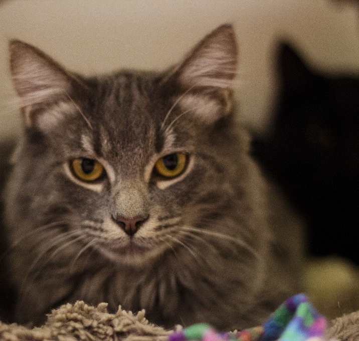 Photo of Jasper