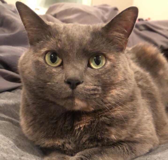 Photo of Tori