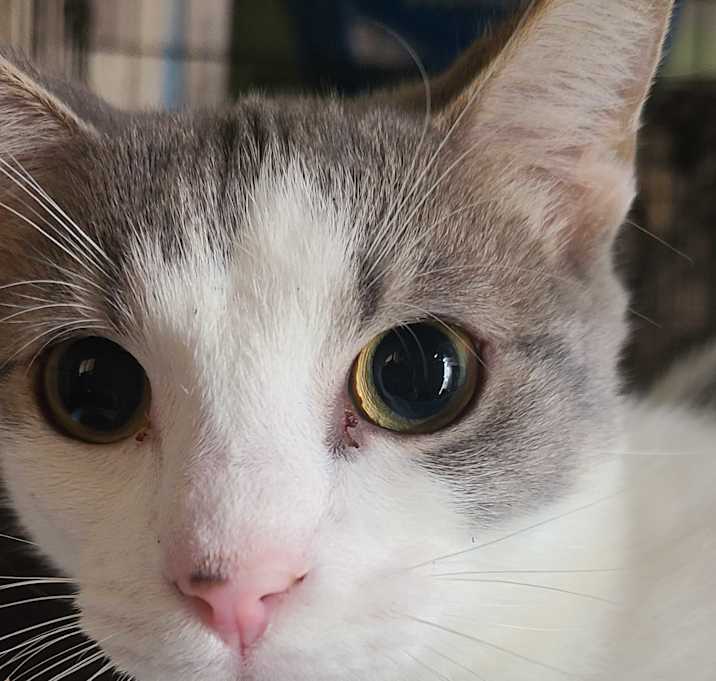 Photo of Brady