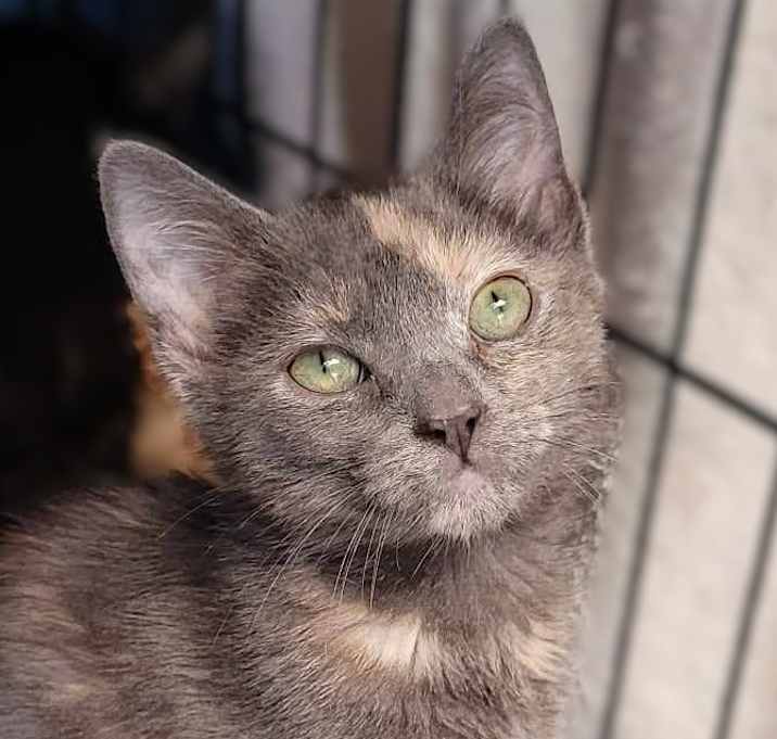Photo of Charlene