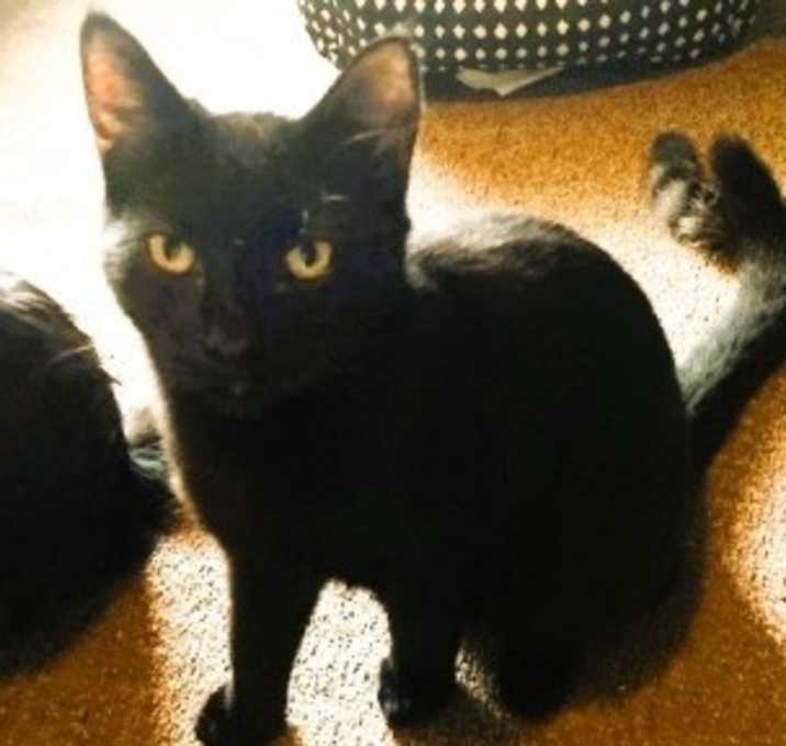 Photo of Bobby