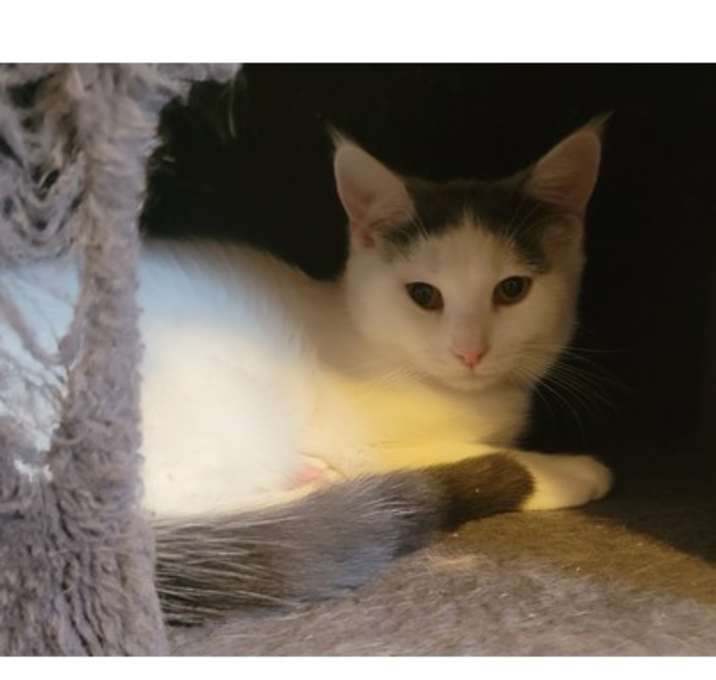 Photo of Mela