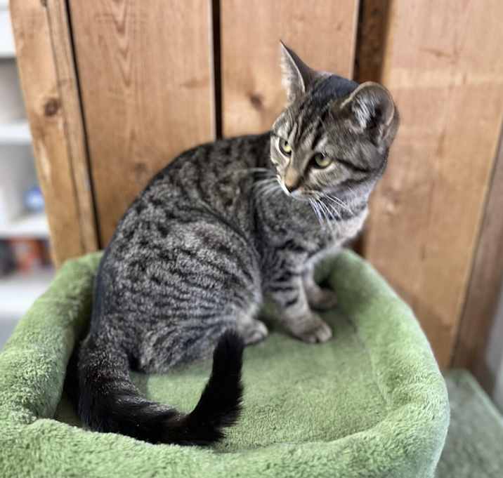 Photo of Heidi