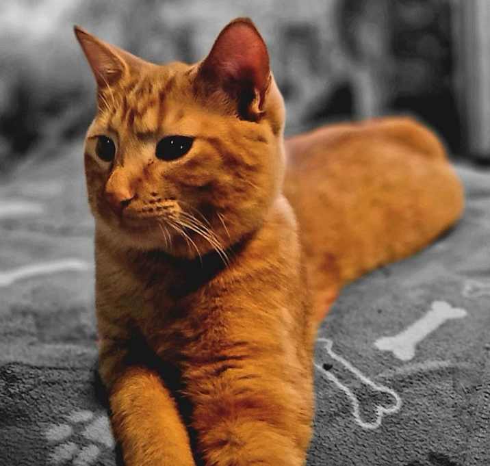 Photo of Monty