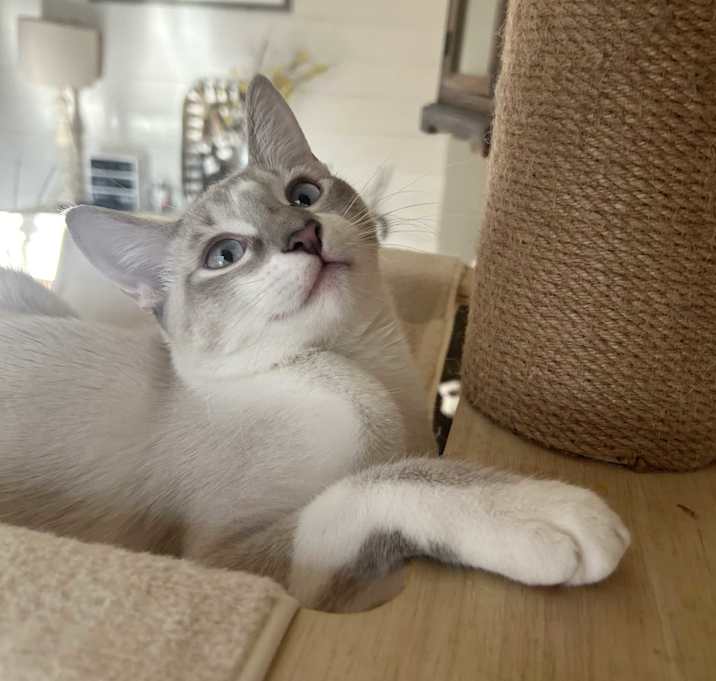 Photo of Simon