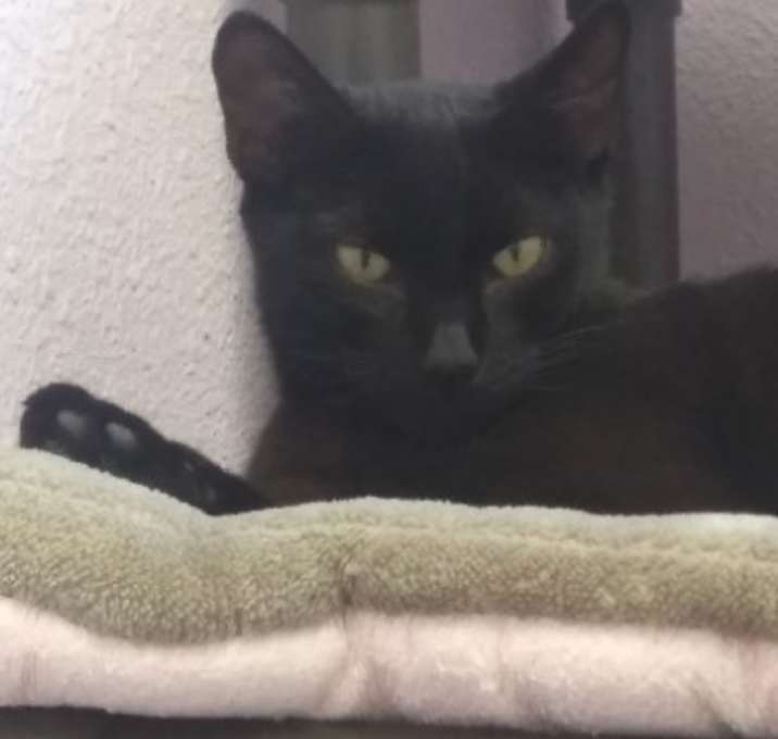 Photo of Brandy