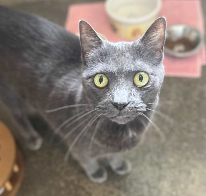 Photo of Melvin