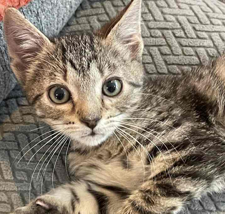 Photo of Danvers