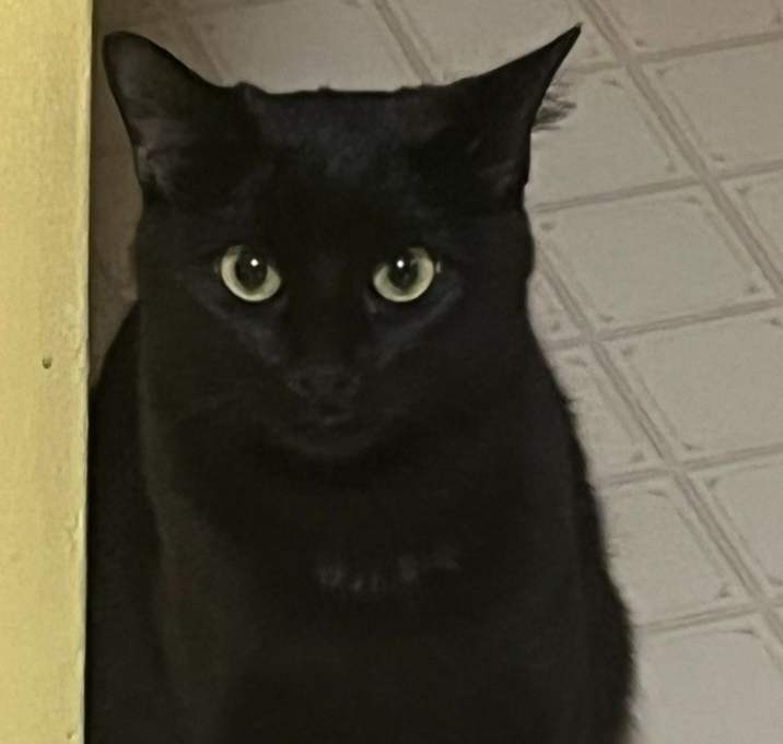 Photo of Sabrina