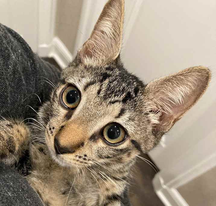 Photo of Tabitha