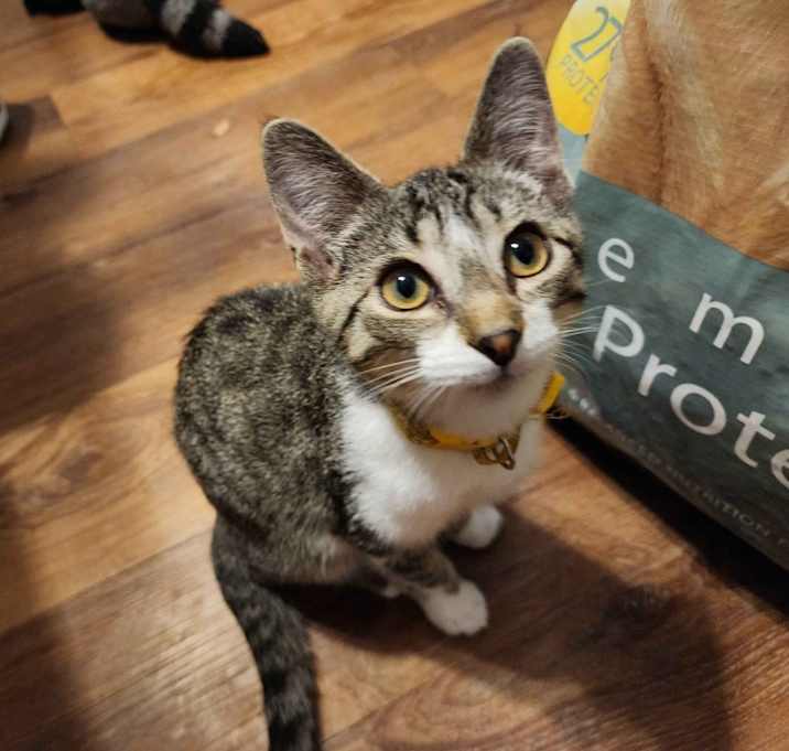 Photo of Citrus