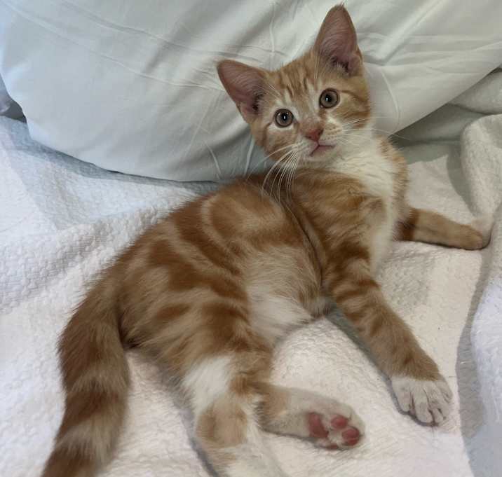 Photo of Benny