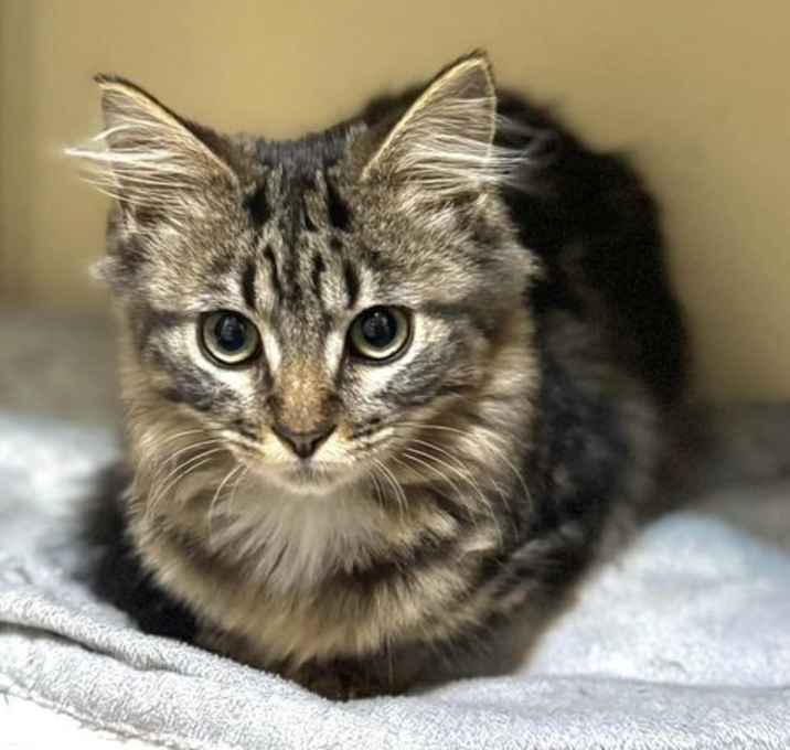 Photo of Twix