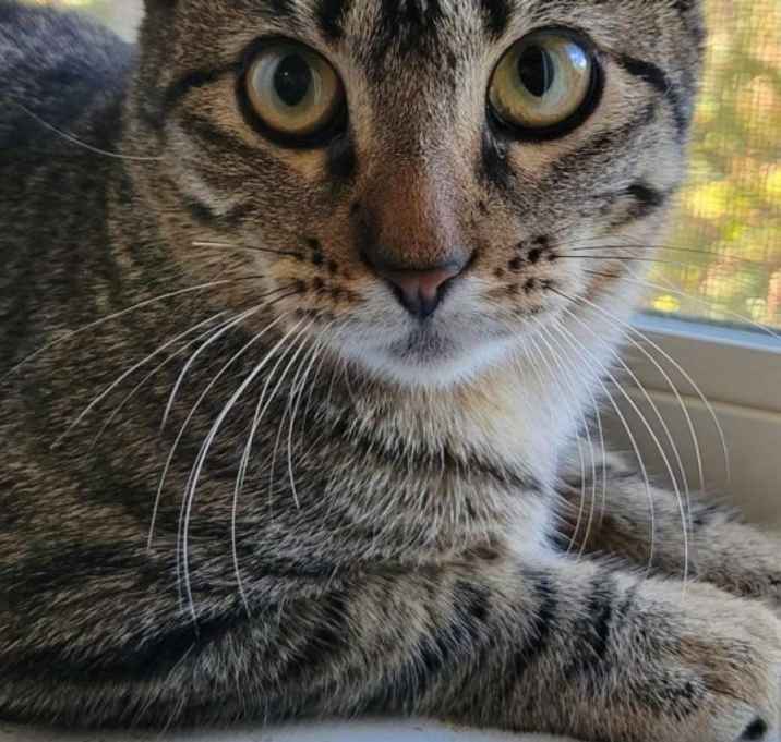 Photo of Jenny