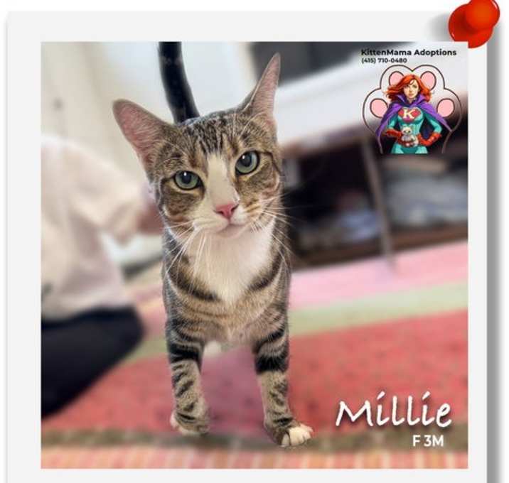 Photo of Millie
