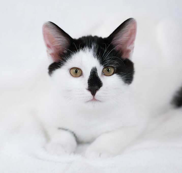 Photo of Jess