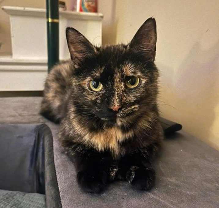 Photo of Espresso 0464