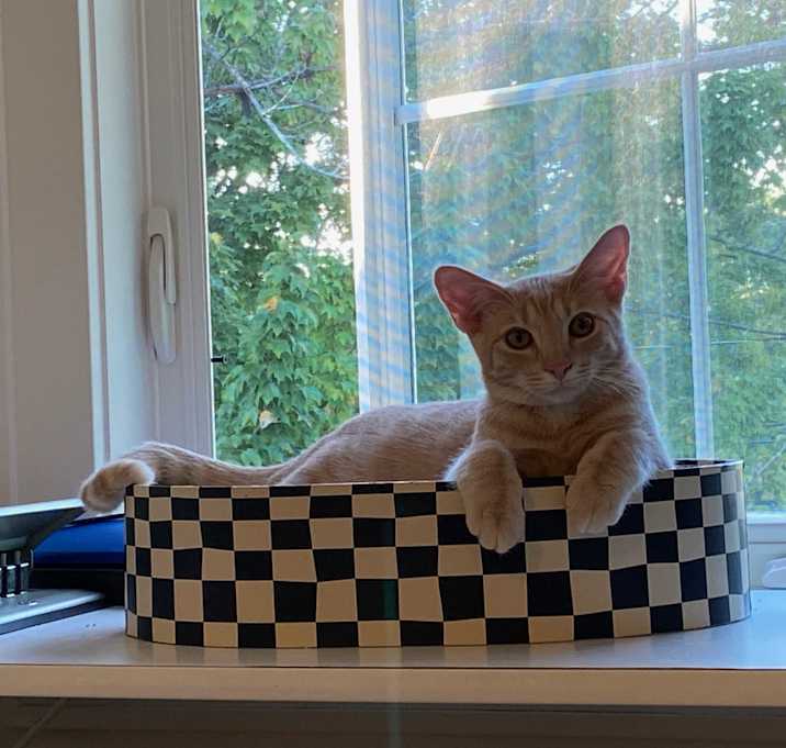 Photo of Eris