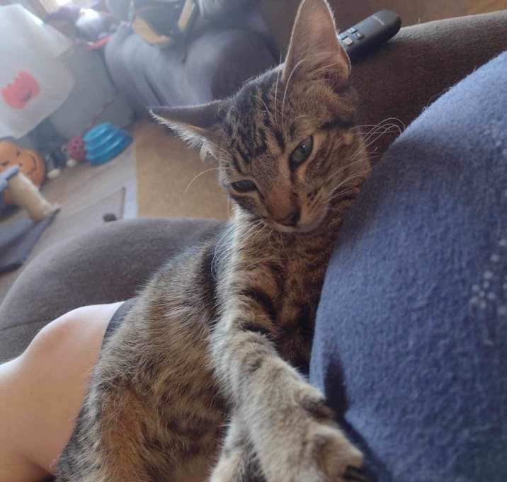 Photo of Rocky