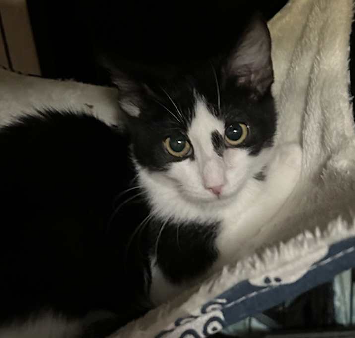Photo of Squidy