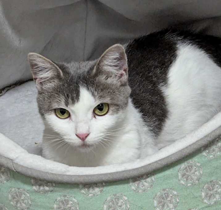 Photo of Morningstar